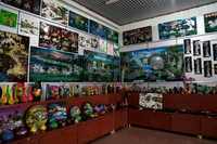 DSC04510
