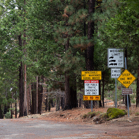 Old Coulterville Rd / Foresta - Yosemite NP