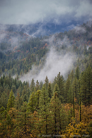Yosemite NP
