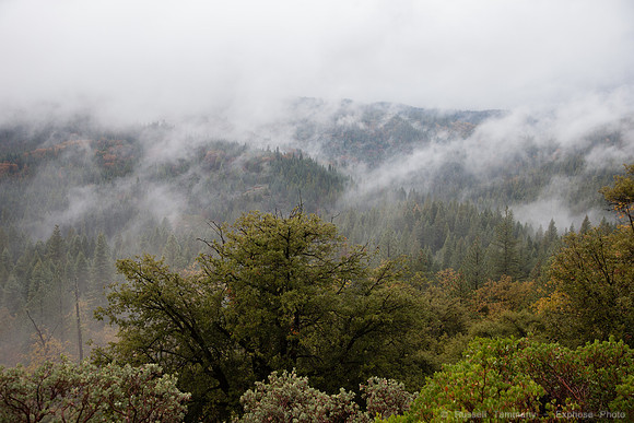 Yosemite NP