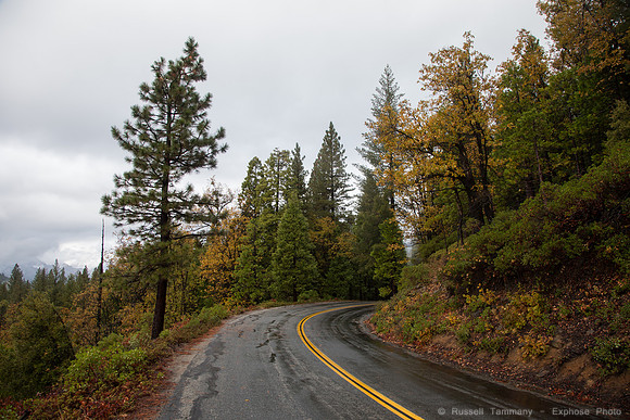 Yosemite NP