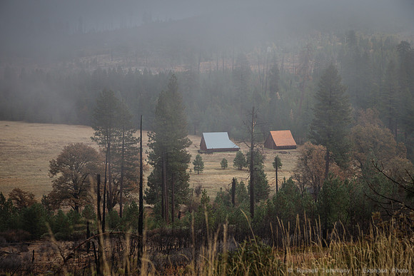 Old Coulterville Rd / Foresta - Yosemite NP