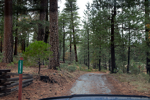 Old Coulterville Rd / Foresta - Yosemite NP