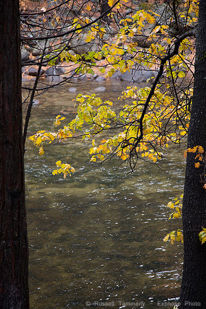 Yosemite Valley - Yosemite NP