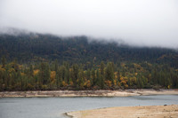 Bass Lake Area