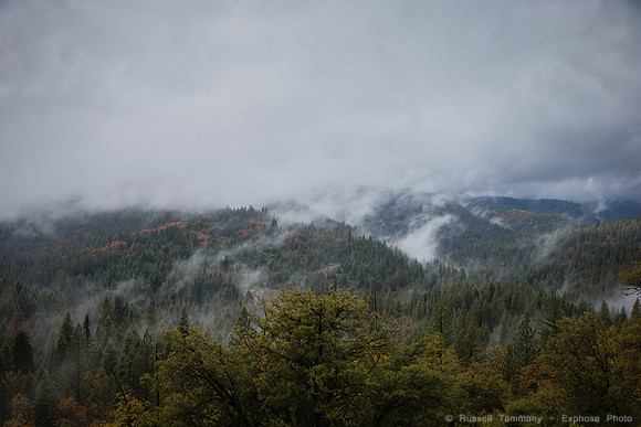 Yosemite NP