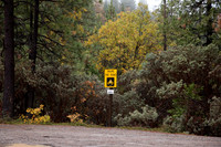 Bass Lake Area