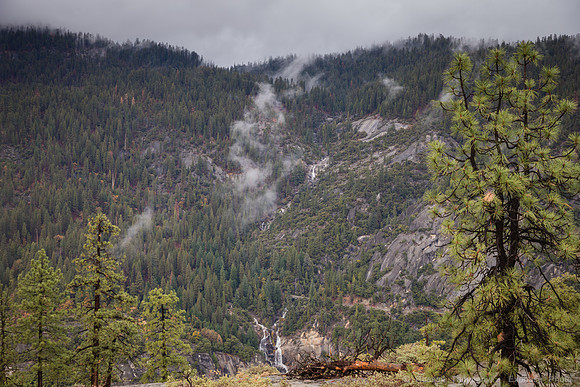 Yosemite NP