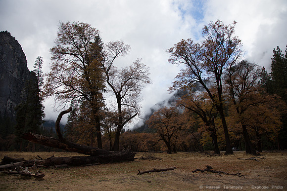 Yosemite Valley - Yosemite NP
