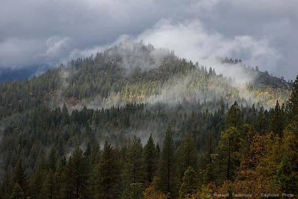 Yosemite NP