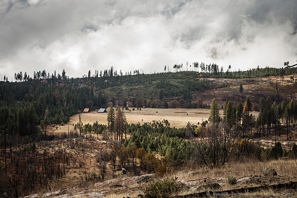 Old Coulterville Rd / Foresta - Yosemite NP