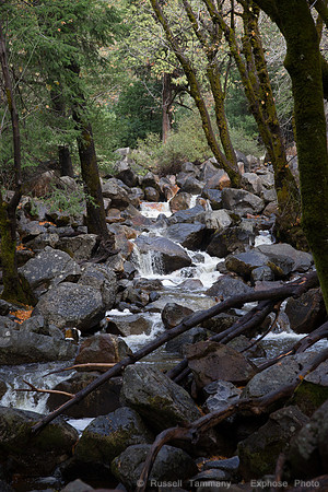 Yosemite Valley - Yosemite NP