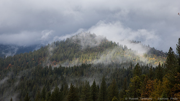 Yosemite NP