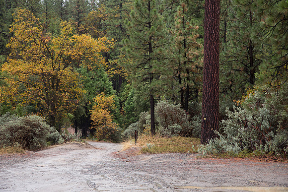 Bass Lake Area