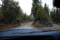 Bass Lake Area
