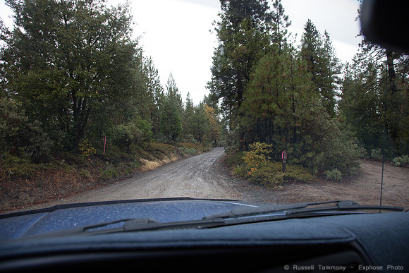 Bass Lake Area