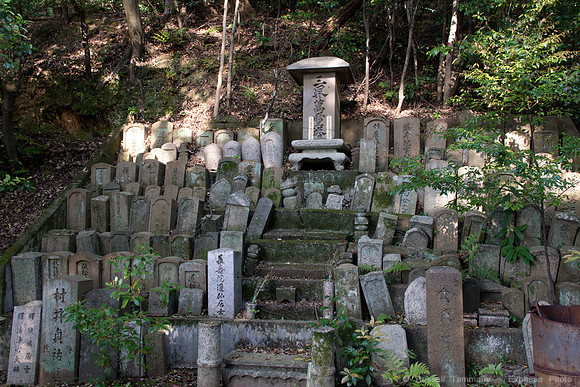 Choraku-Ji Temple Area - Kyoto, JP