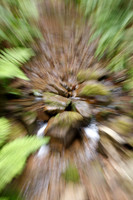 1D3_8404