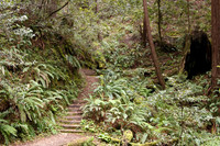 1D3_8395