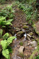 1D3_8400
