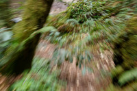 1D3_8430