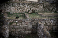 DSC04063