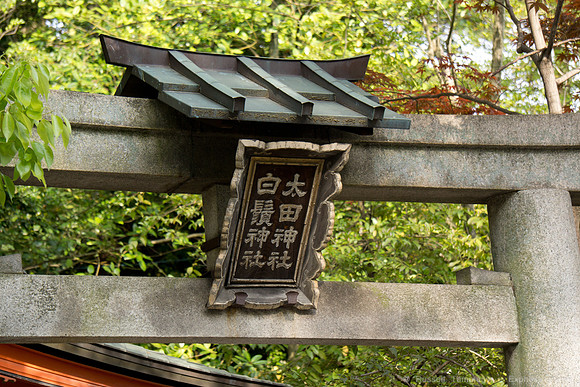 Yasaka Shrine - Kyoto, JP