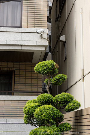 Gion, Kyoto, JP