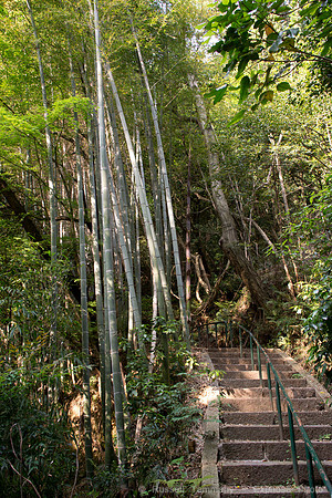 Choraku-Ji Temple Area - Kyoto, JP