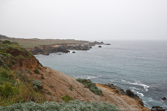 1D3_8518