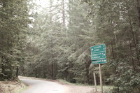 1D3_8344