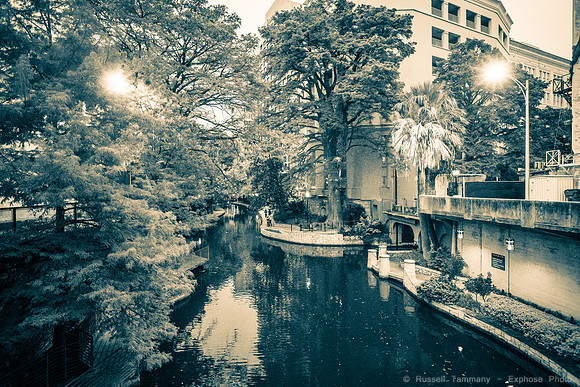 DSC04244