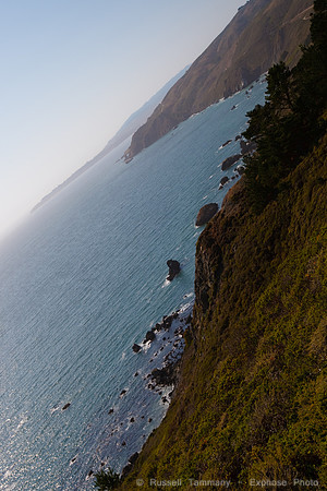 1D3_0795