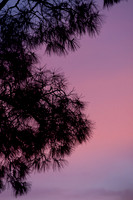 1D3_6317