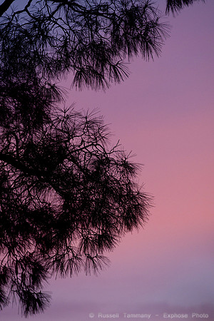 1D3_6317