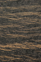 1DX_3762
