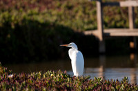 San Pablo Bay Area