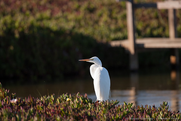 San Pablo Bay Area