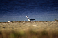 San Pablo Bay Area