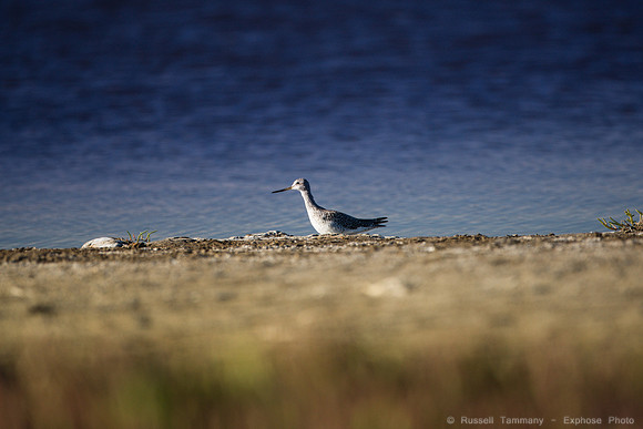 San Pablo Bay Area
