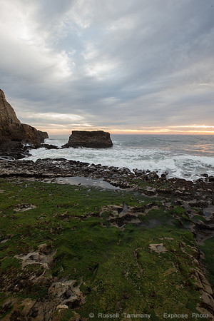 1DX_4367