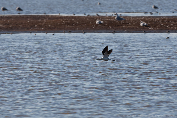 San Pablo Bay Area