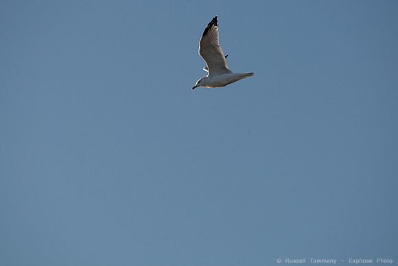 San Pablo Bay Area