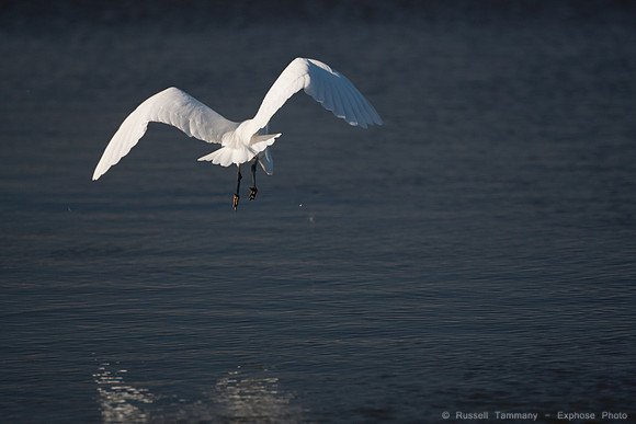 San Pablo Bay Area