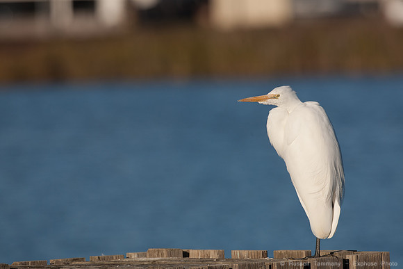 San Pablo Bay Area