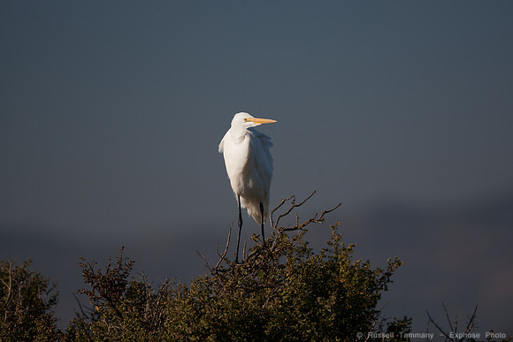 San Pablo Bay Area