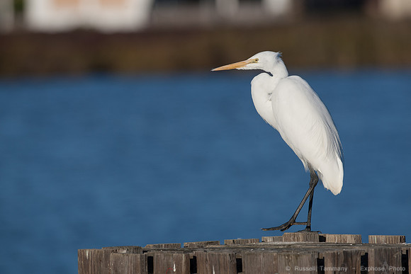 San Pablo Bay Area