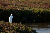 San Pablo Bay Area