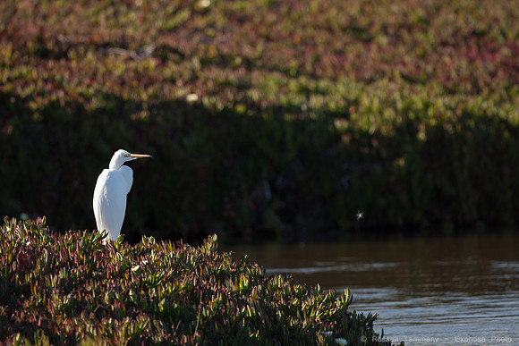 San Pablo Bay Area