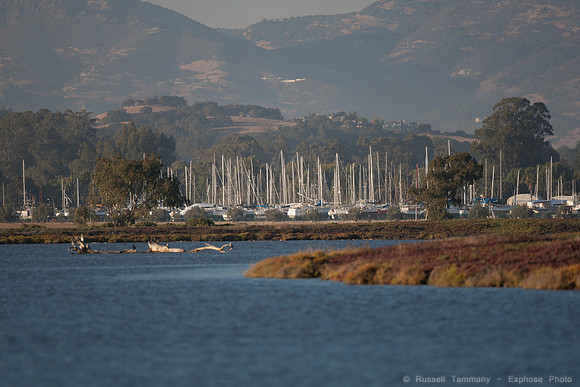 San Pablo Bay Area